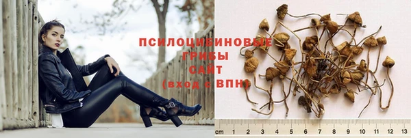 прущие грибы Арсеньев