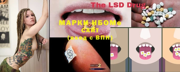 прущие грибы Арсеньев