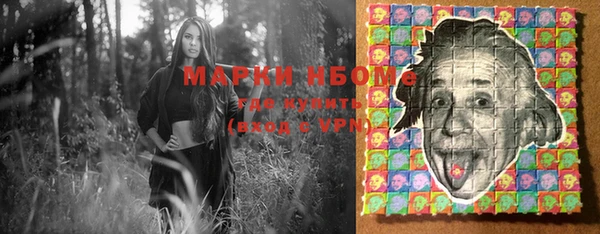 прущие грибы Арсеньев