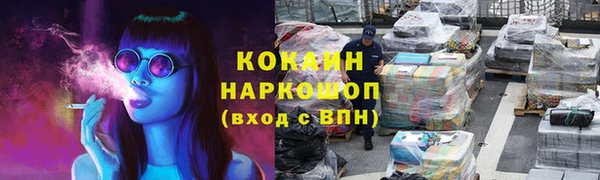 прущие грибы Арсеньев